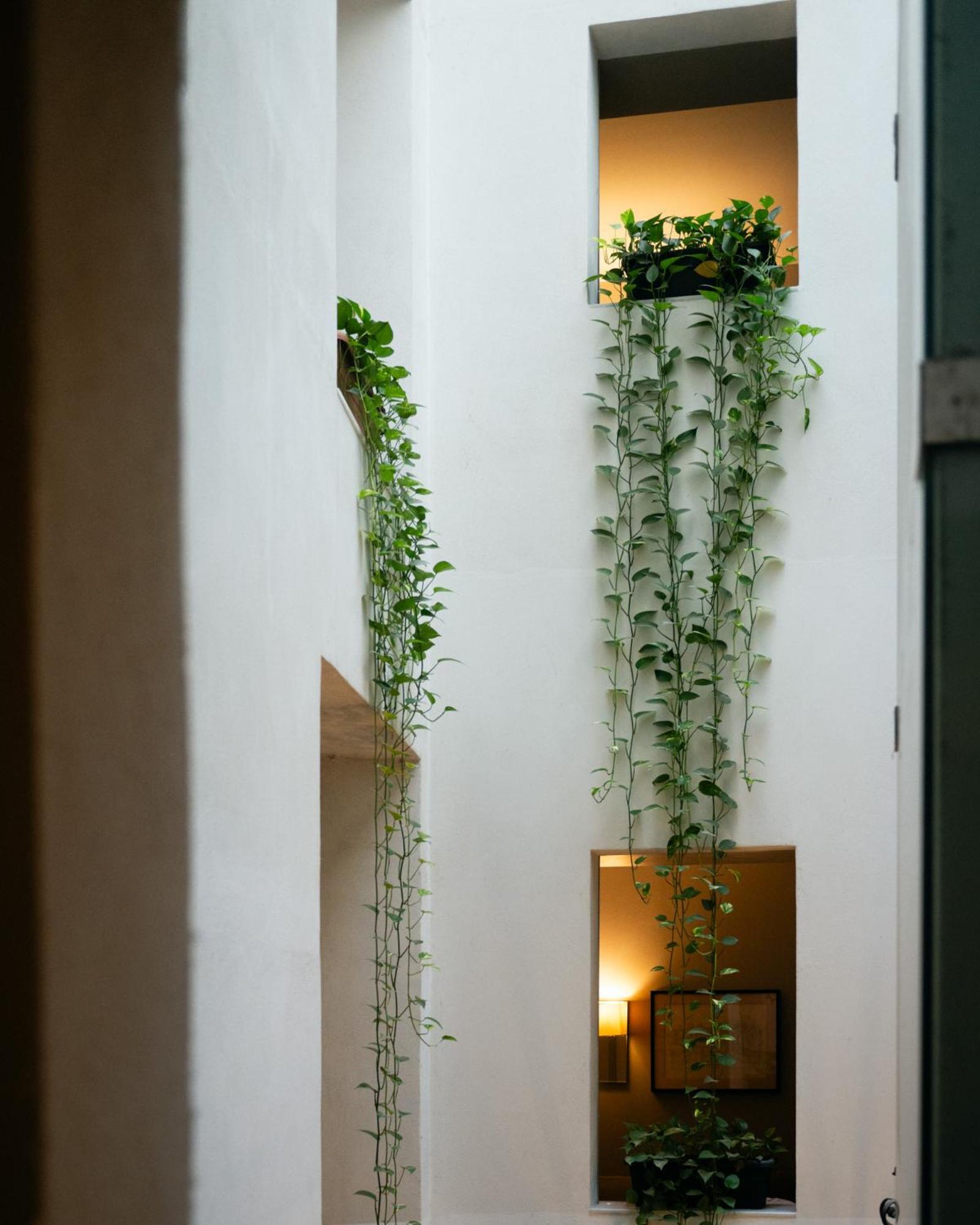 ברצלונה Hotel Ramblas Internacional מראה חיצוני תמונה